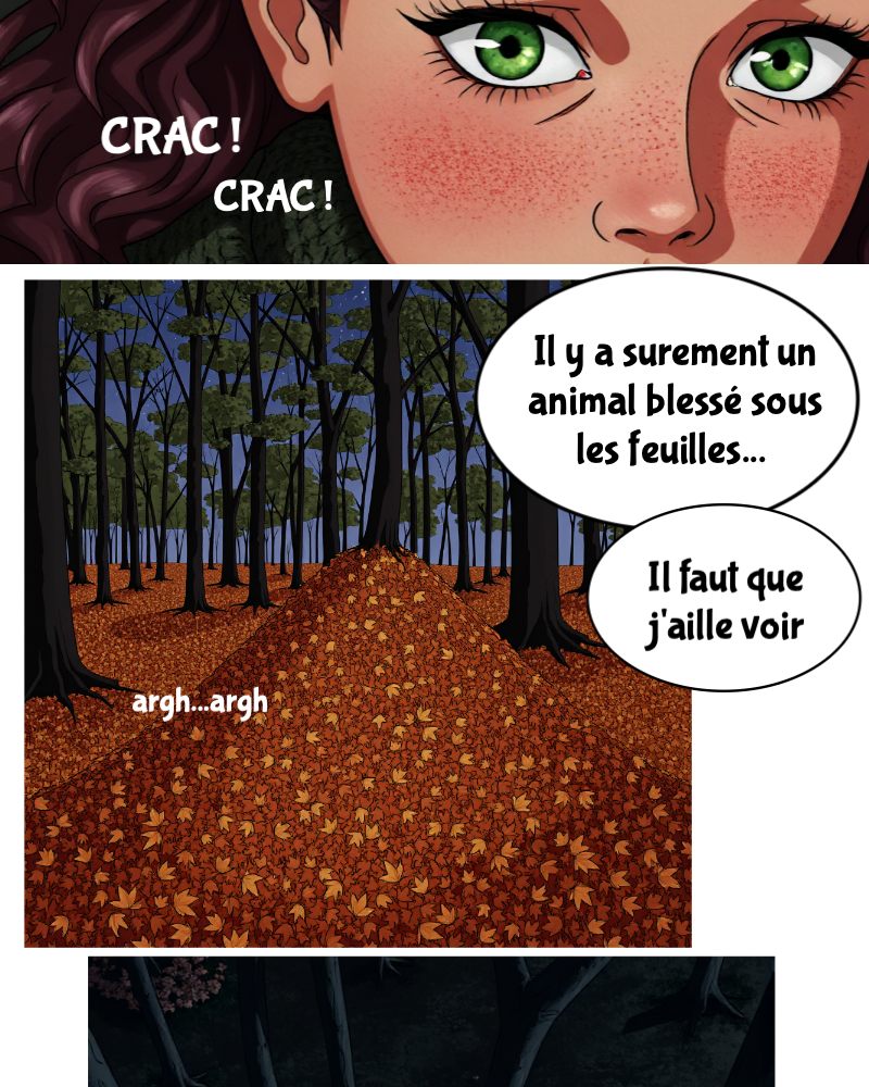 Image de la BD