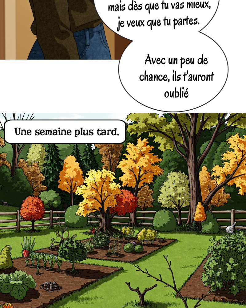 Image de la BD