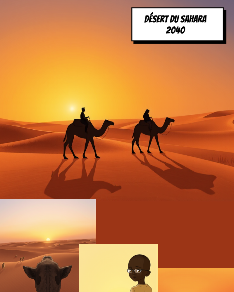 Image de la BD