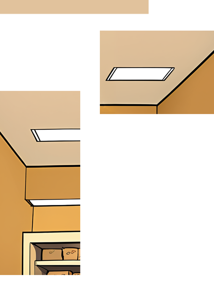 Image de la BD