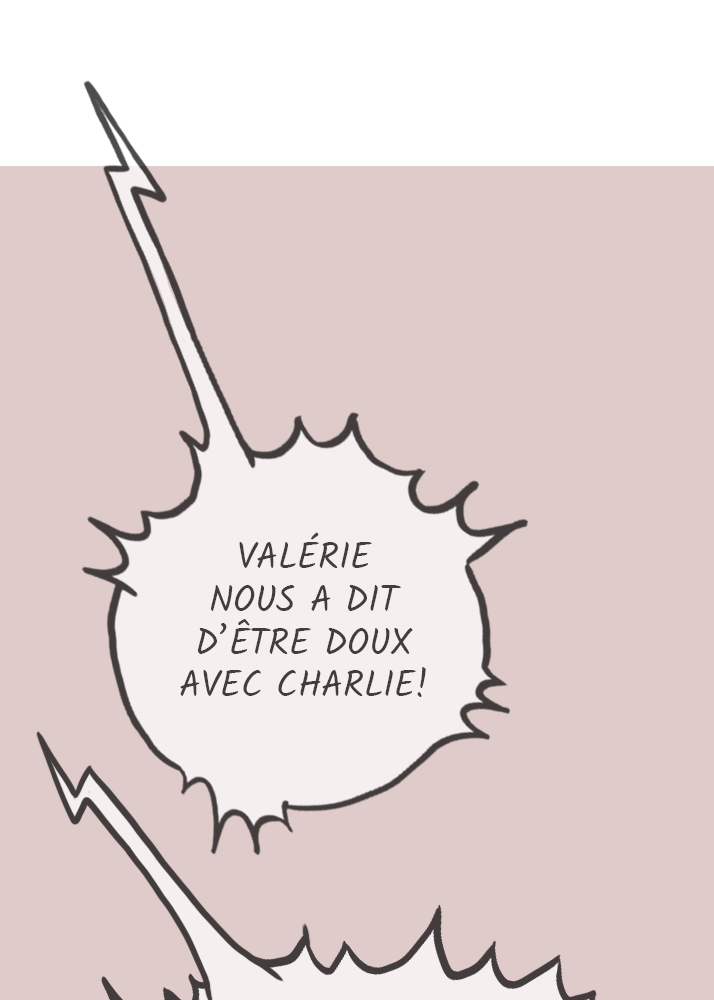Image de la BD