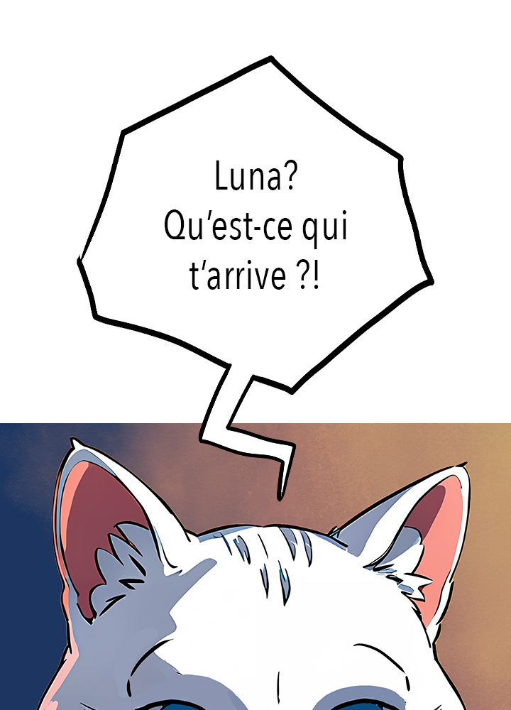 Image de la BD