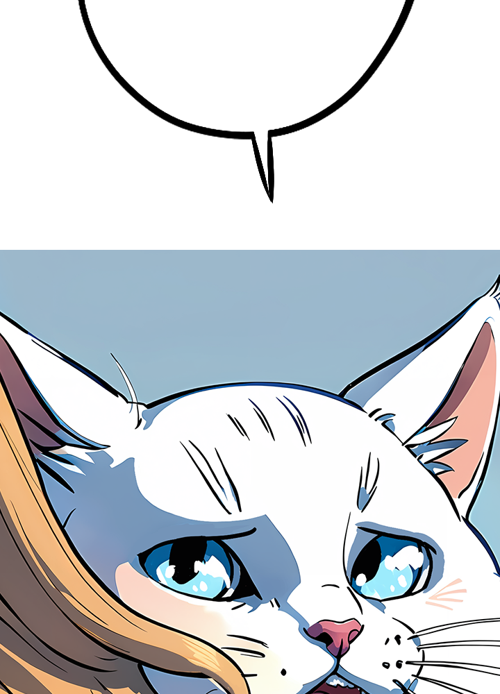 Image de la BD