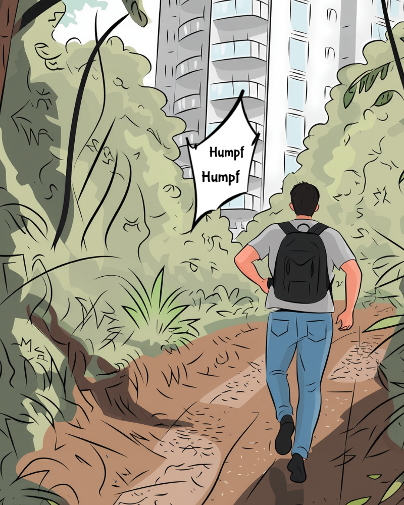 Image de la BD