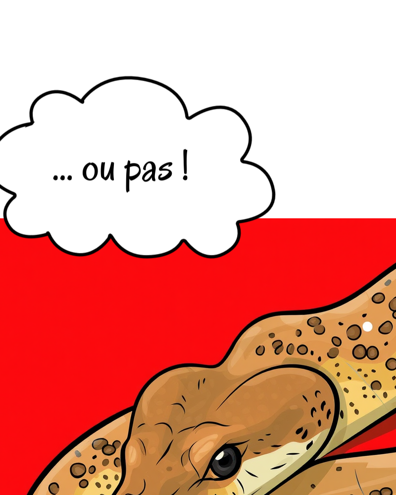 Image de la BD