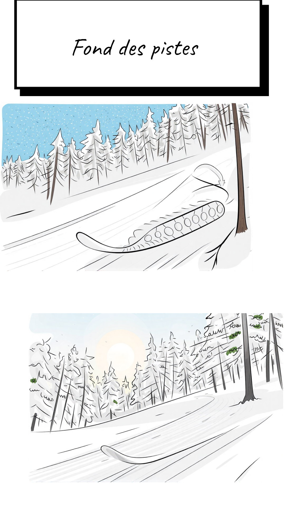 Image de la BD