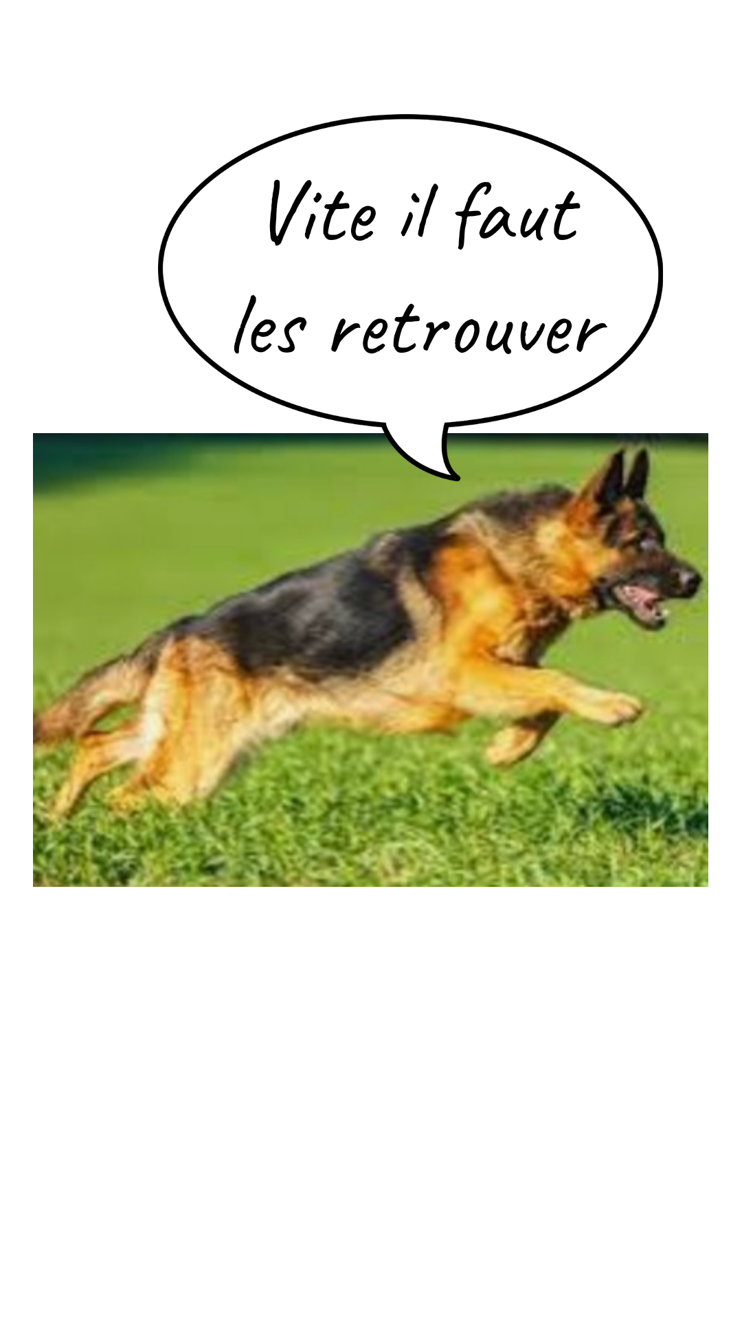 Image de la BD