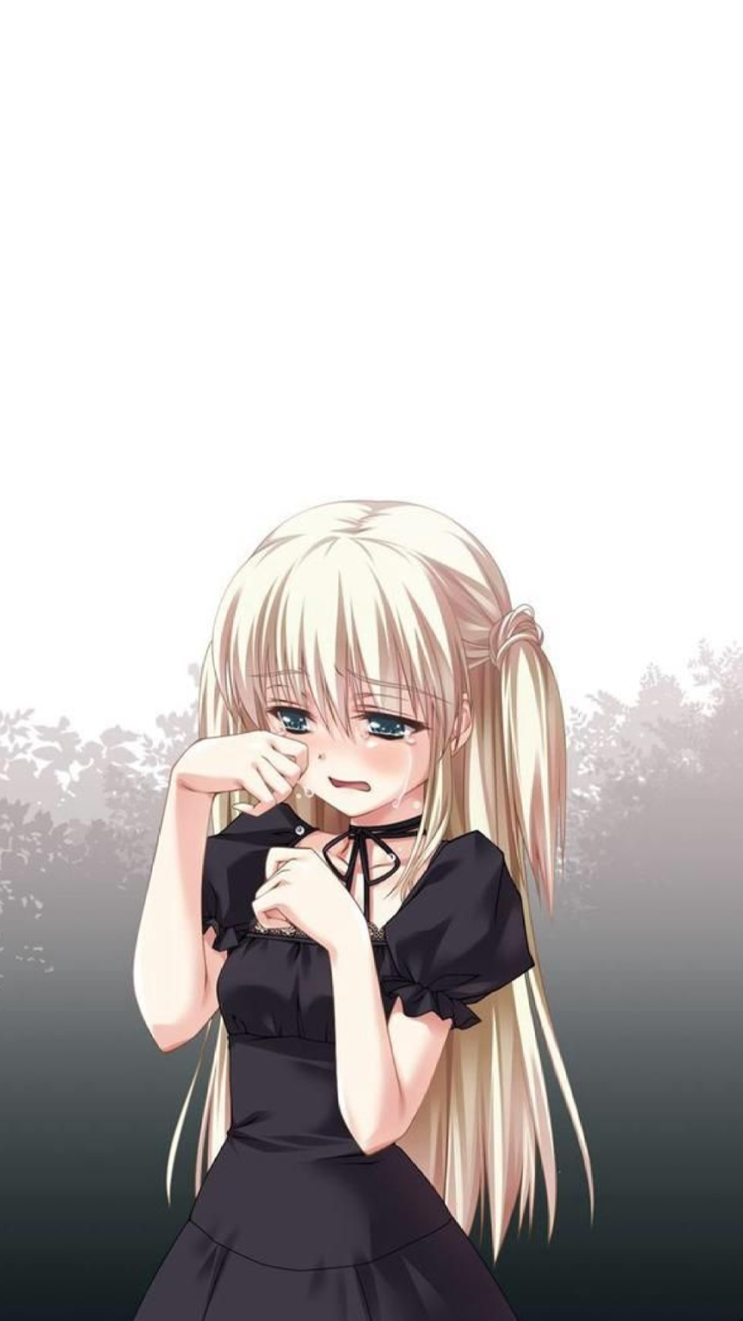 Image de la BD