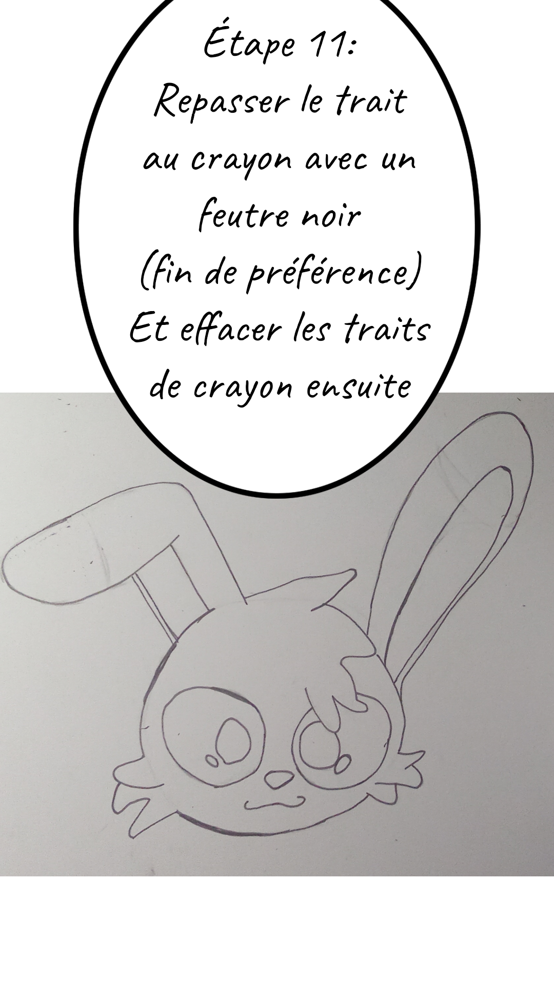 Image de la BD