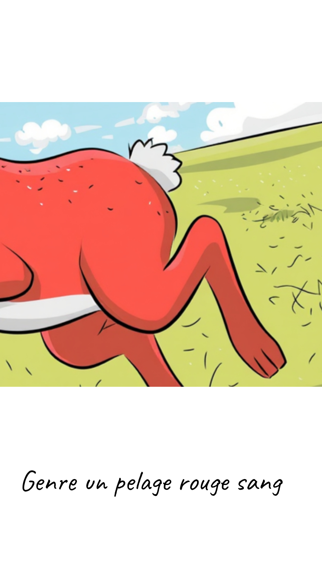 Image de la BD