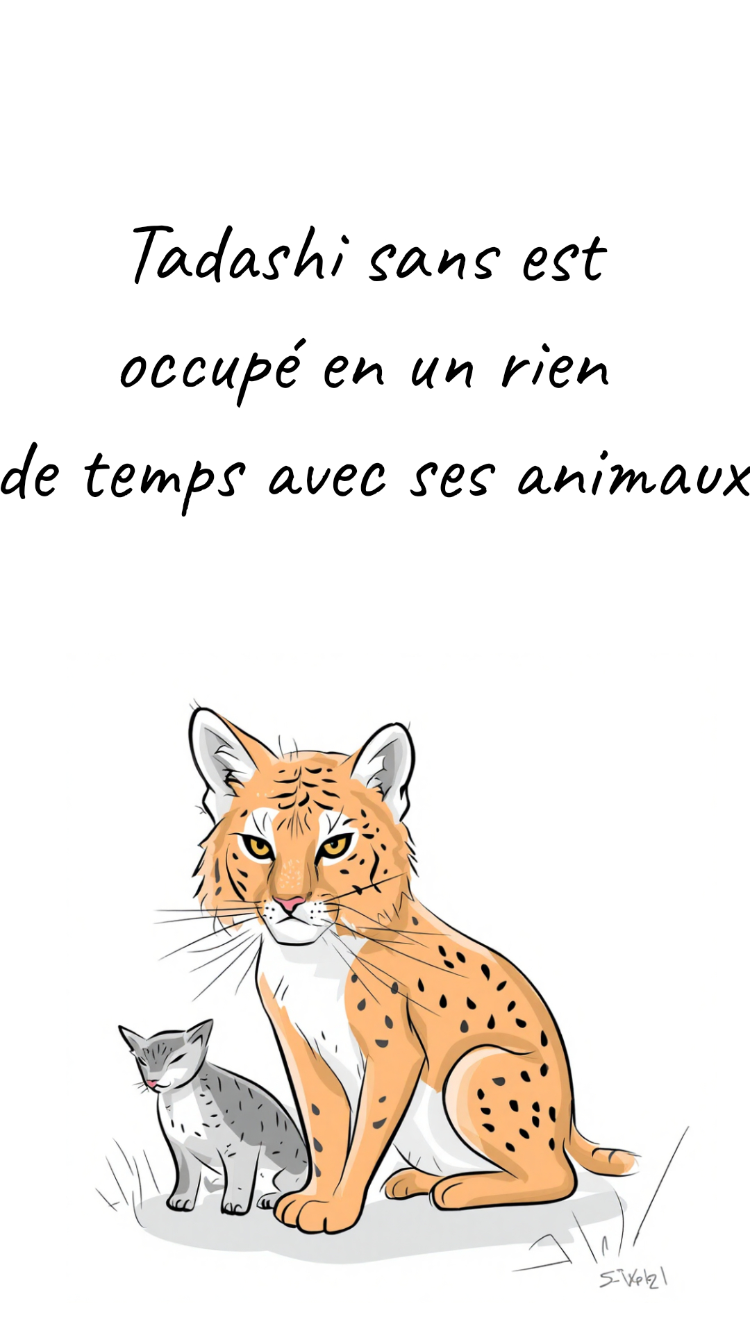 Image de la BD