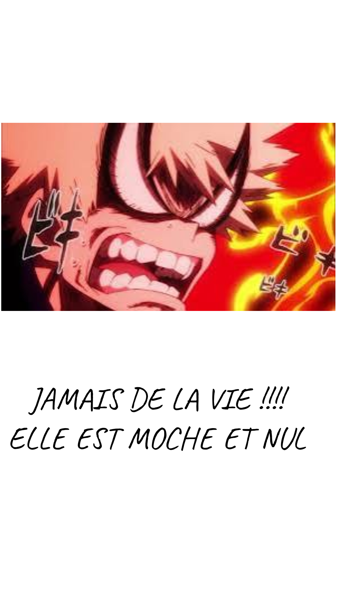 Image de la BD