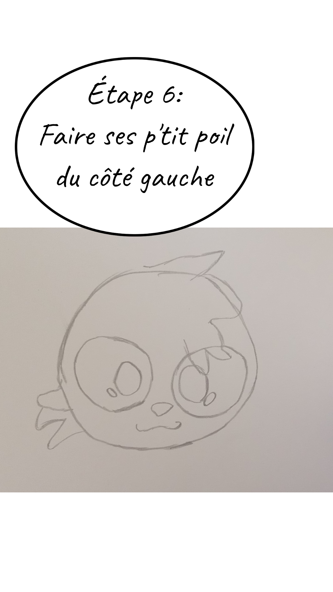 Image de la BD