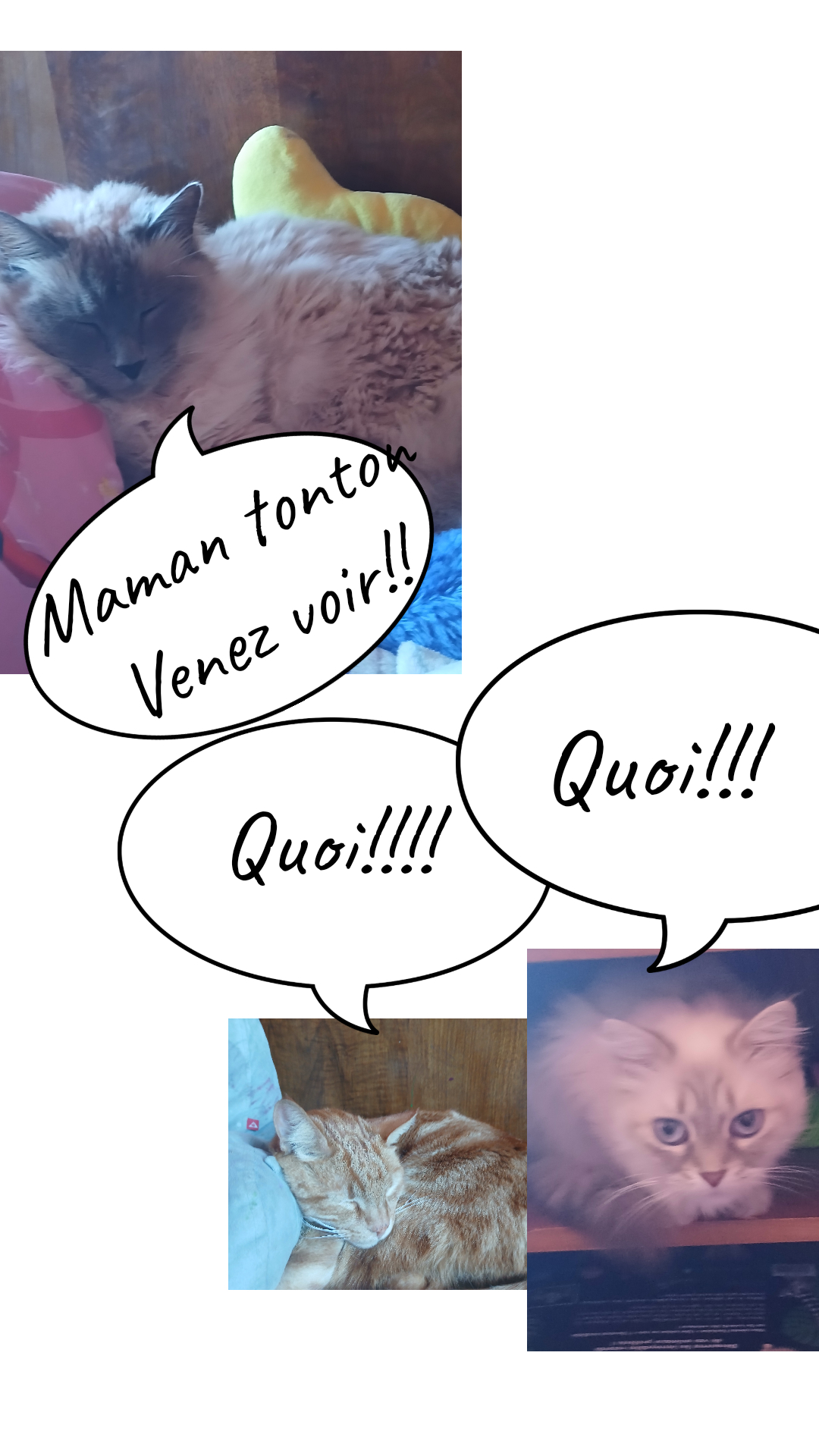Image de la BD