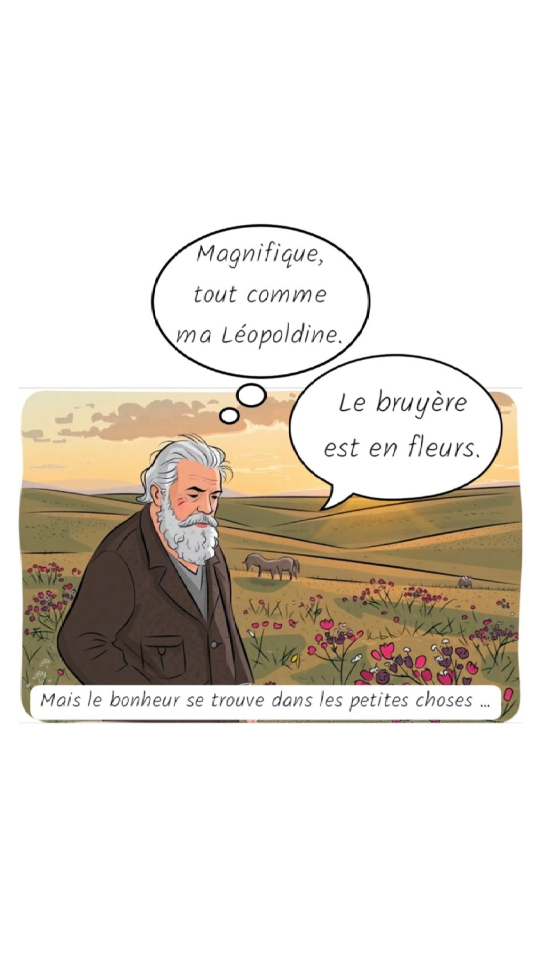 Image de la BD