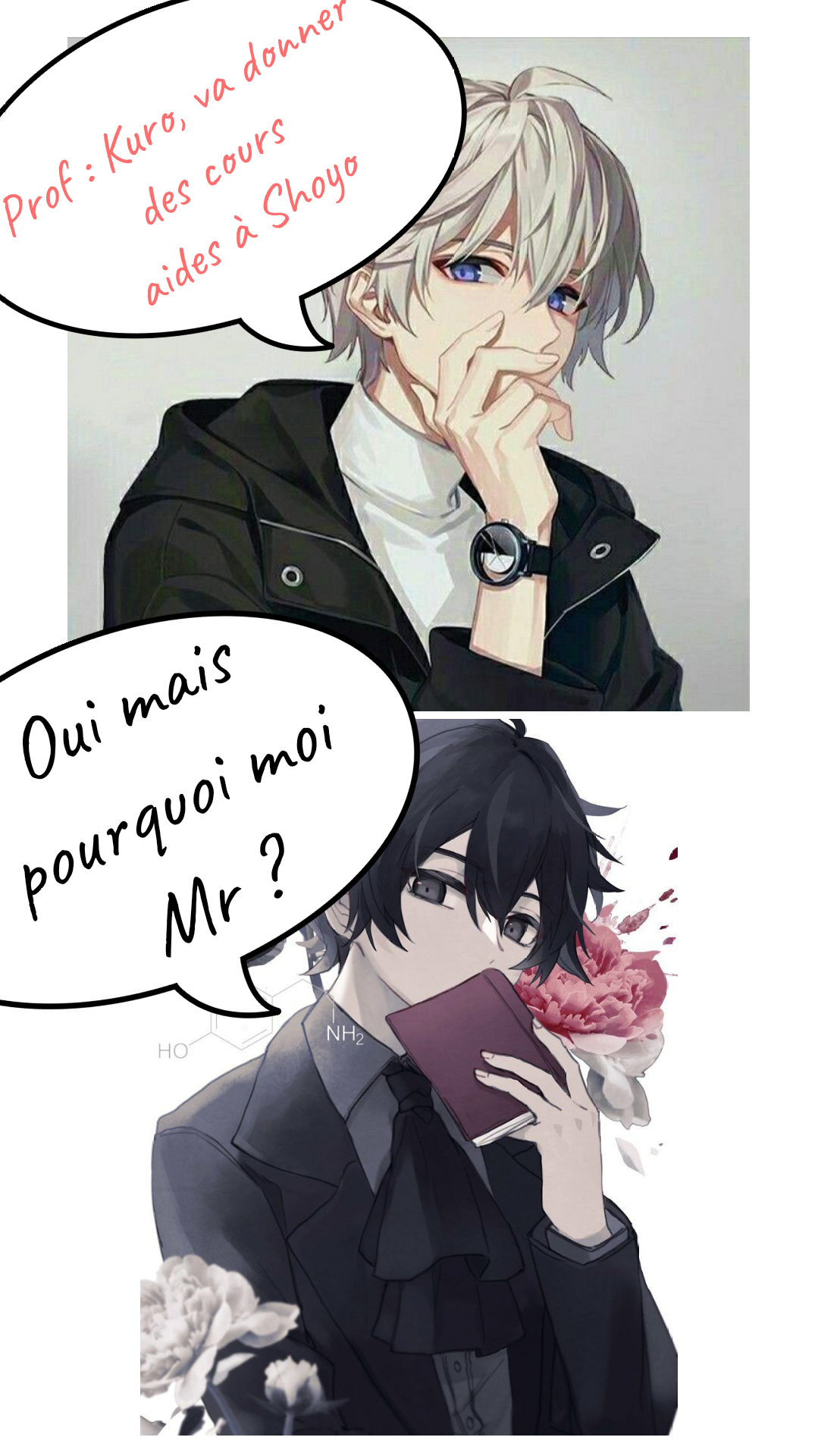 Image de la BD
