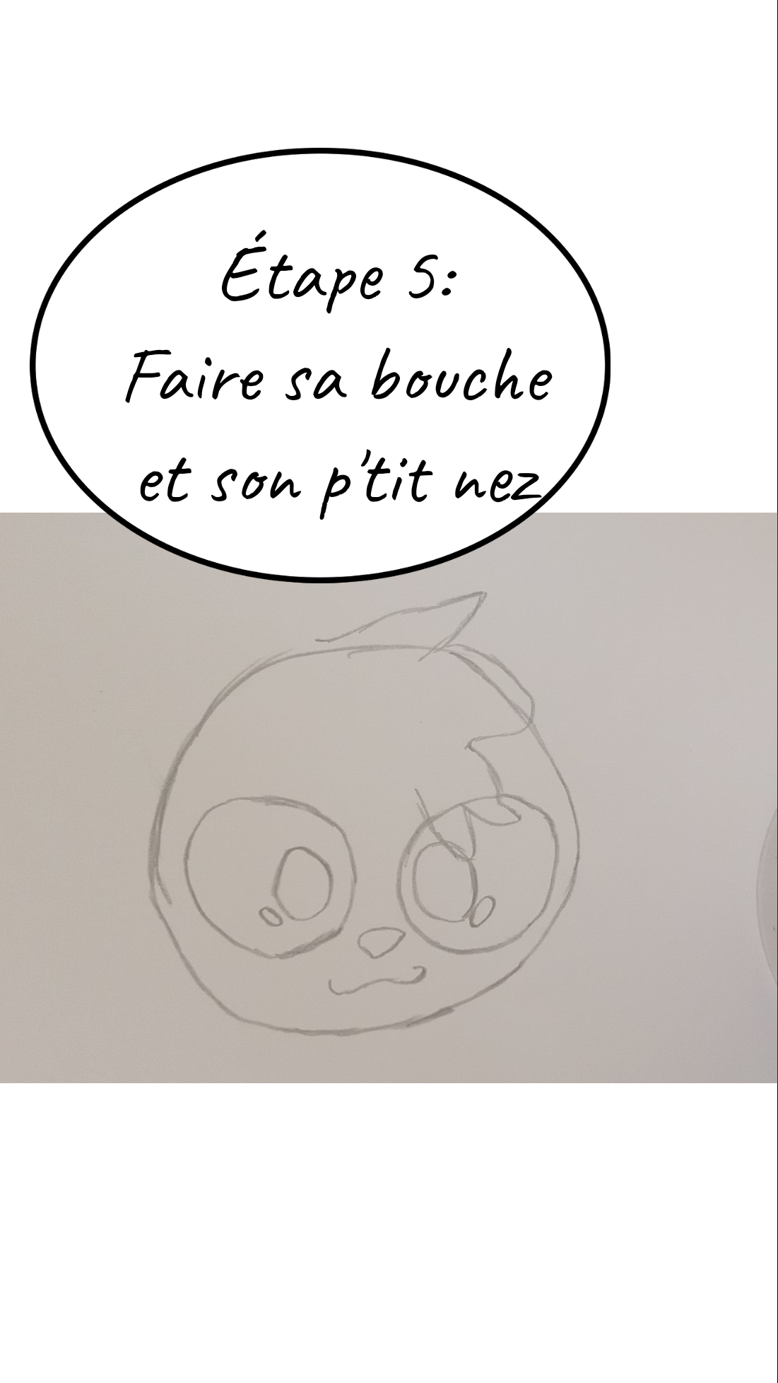 Image de la BD