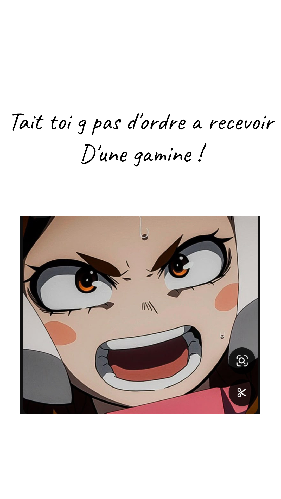 Image de la BD