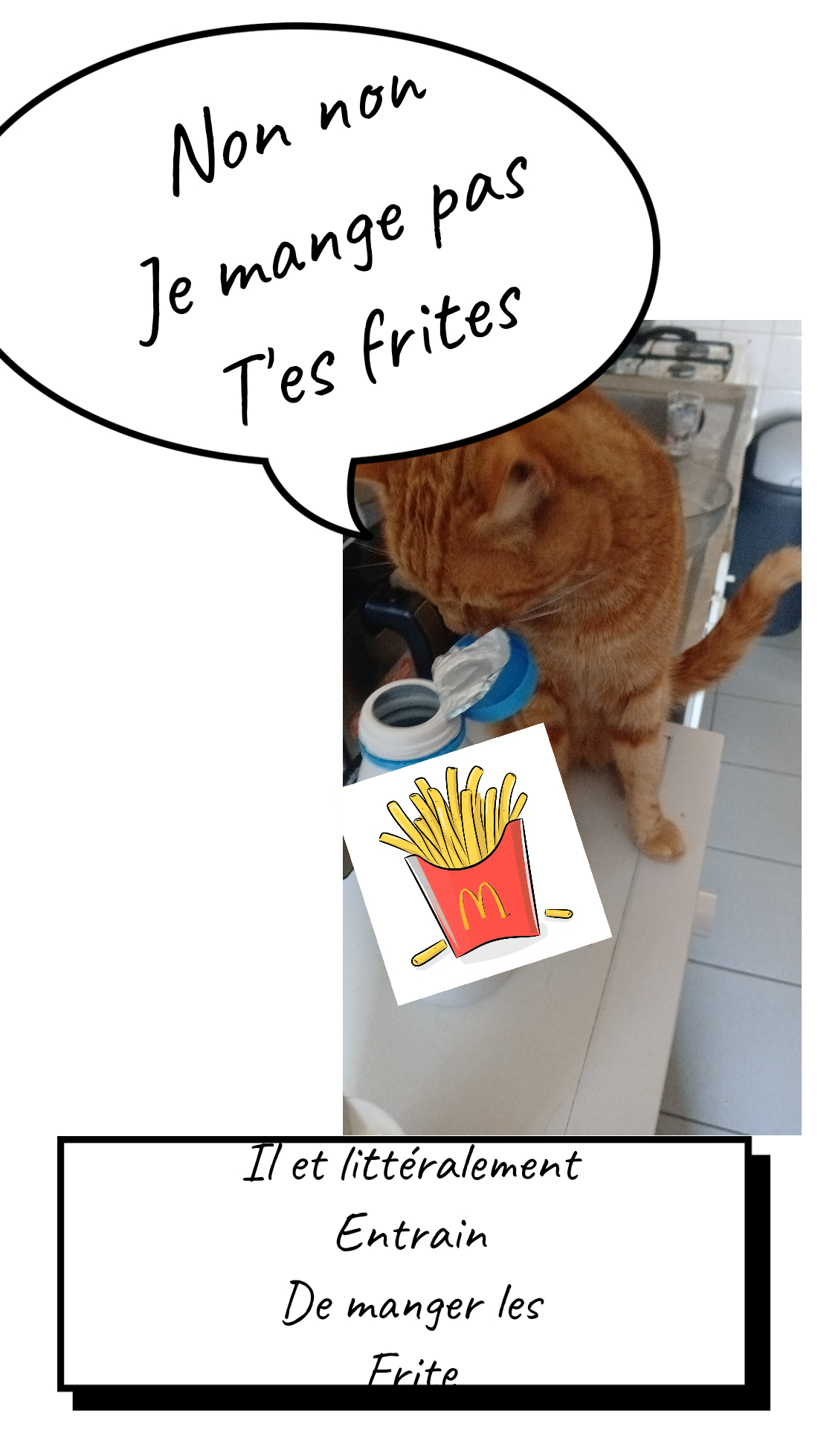 Image de la BD