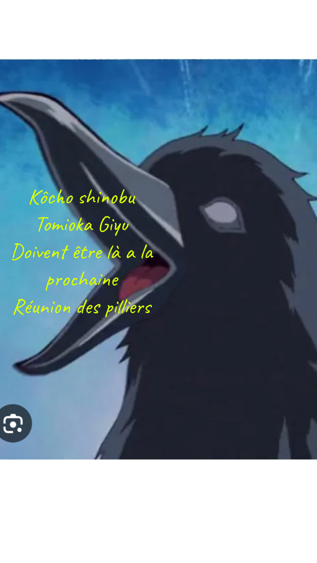 Image de la BD