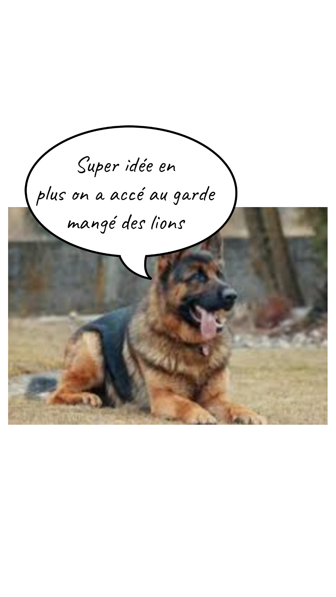 Image de la BD