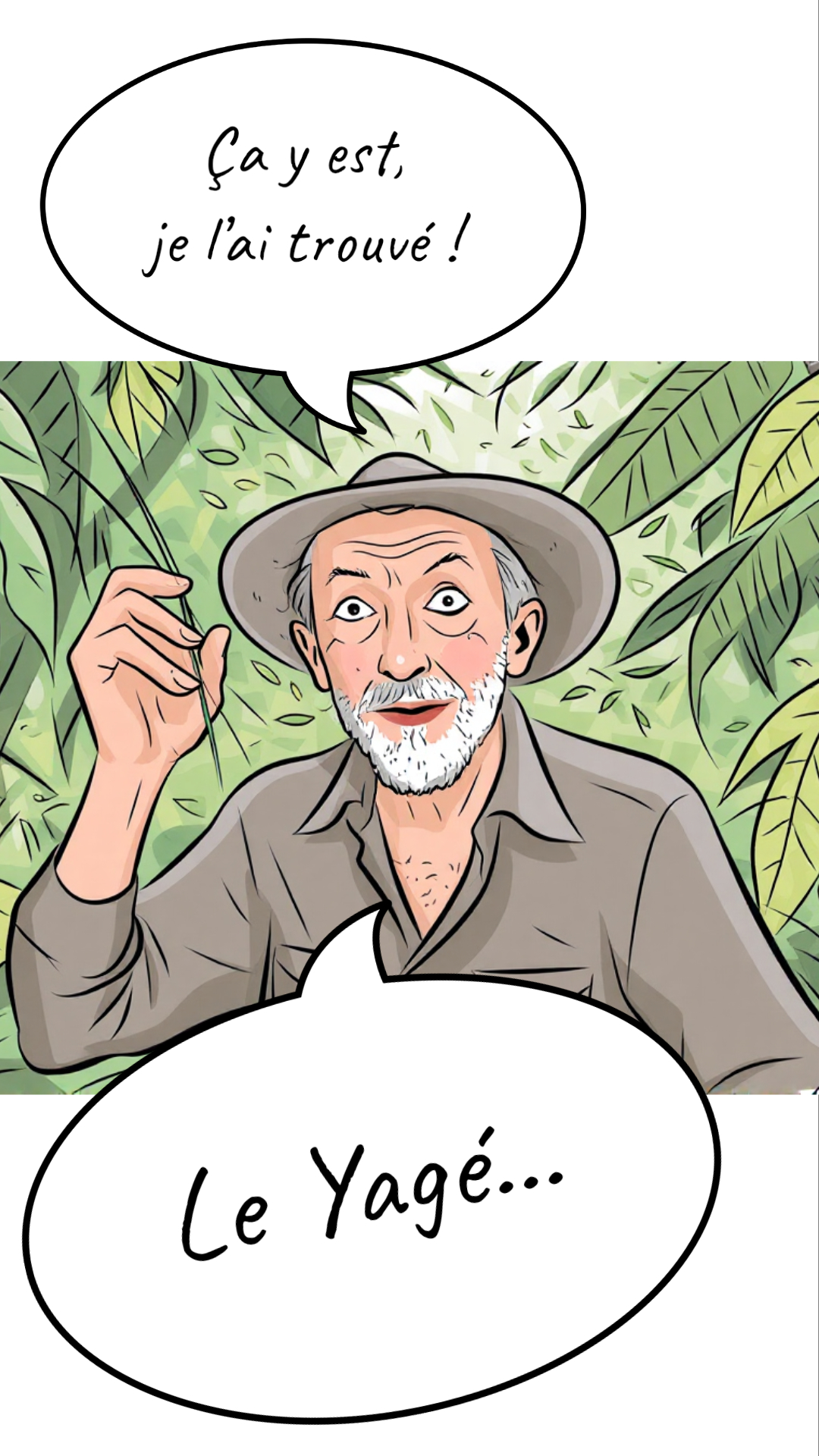 Image de la BD