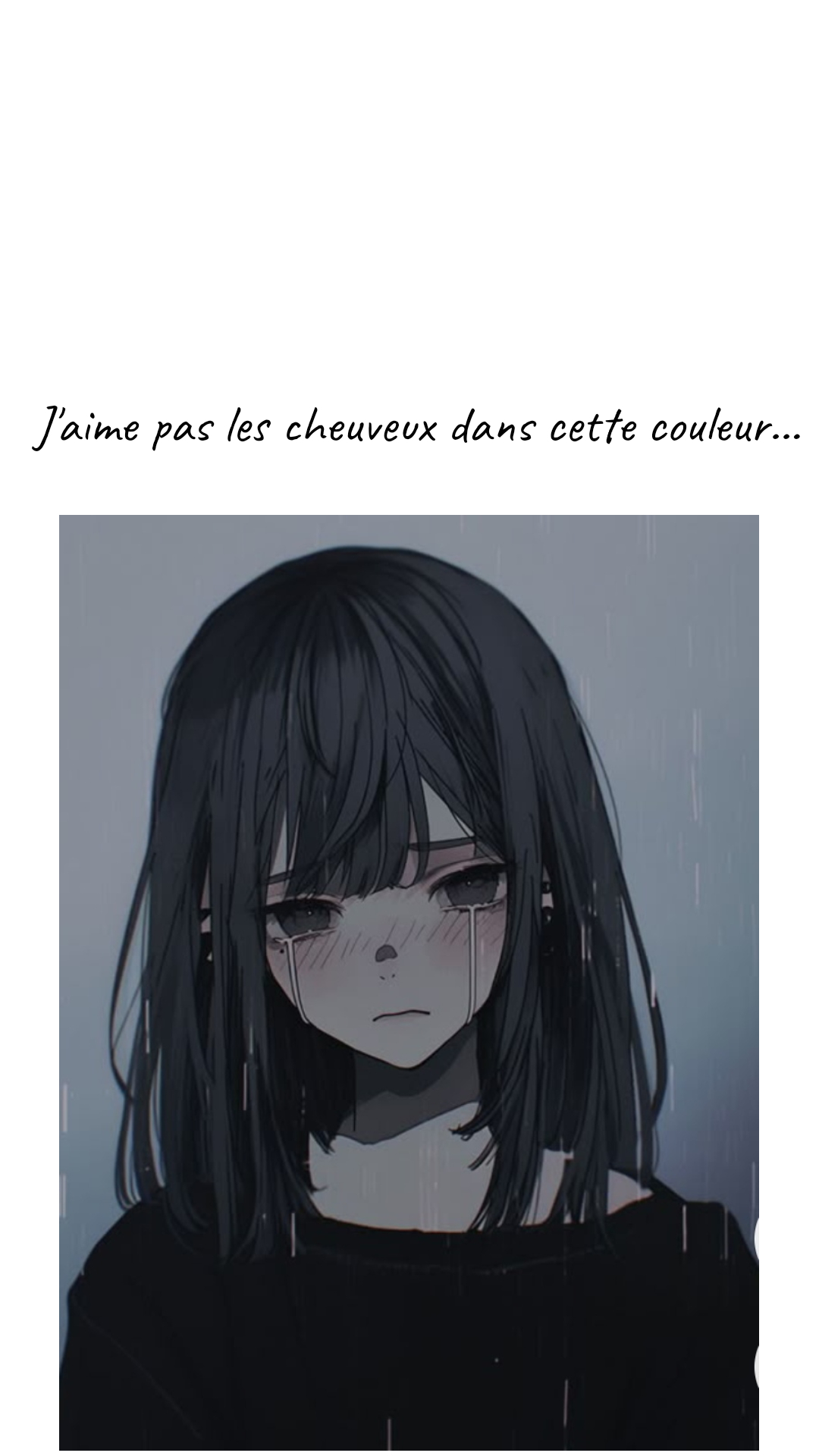 Image de la BD