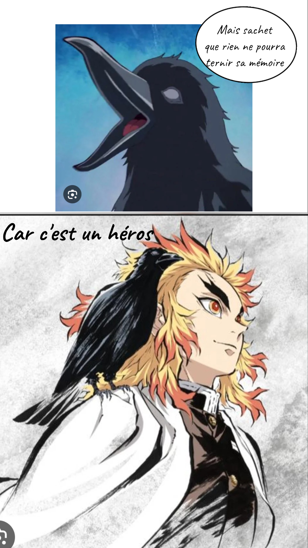 Image de la BD