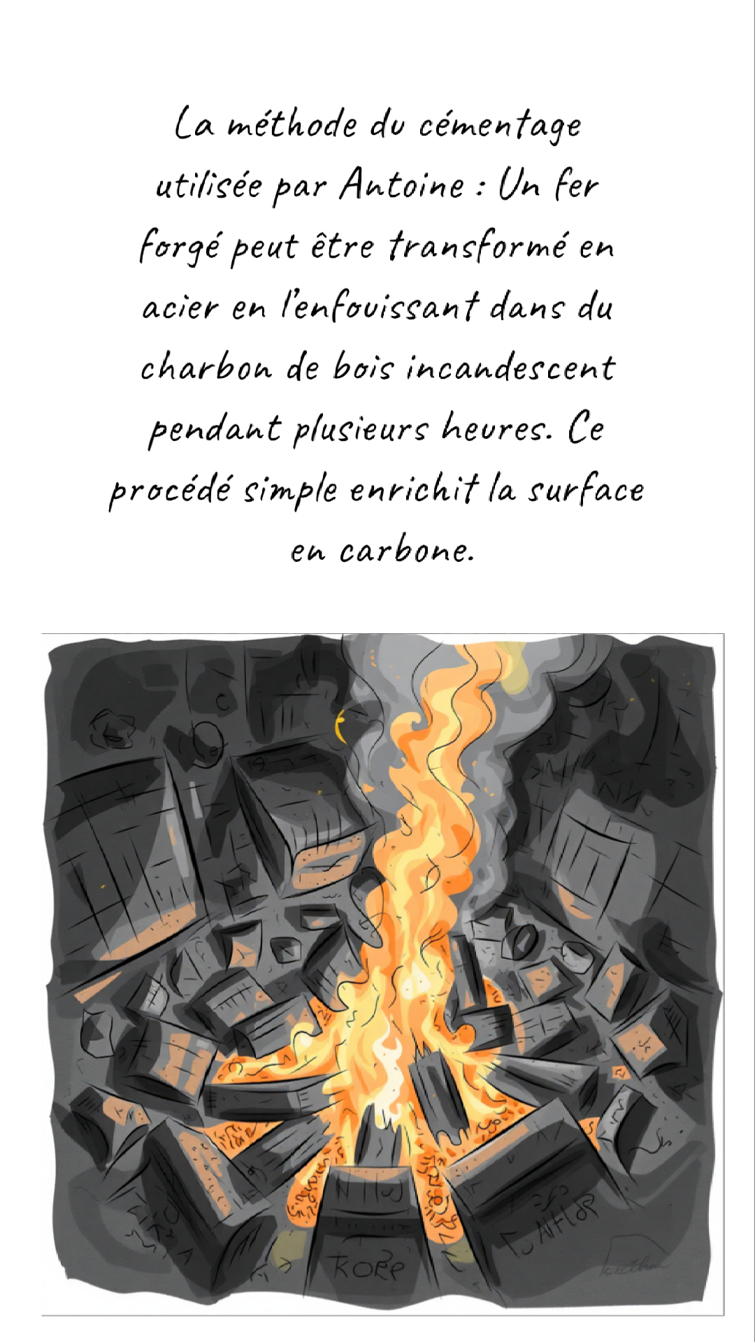 Image de la BD