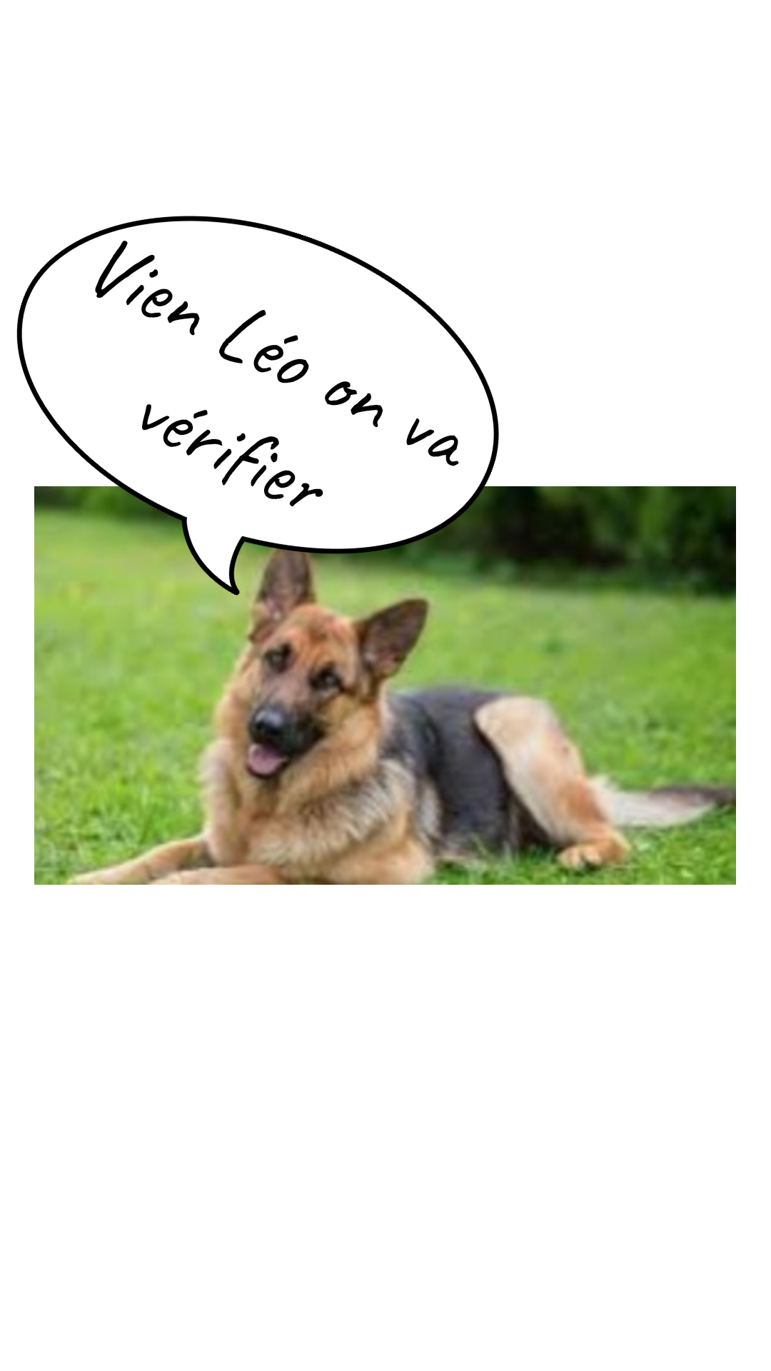 Image de la BD