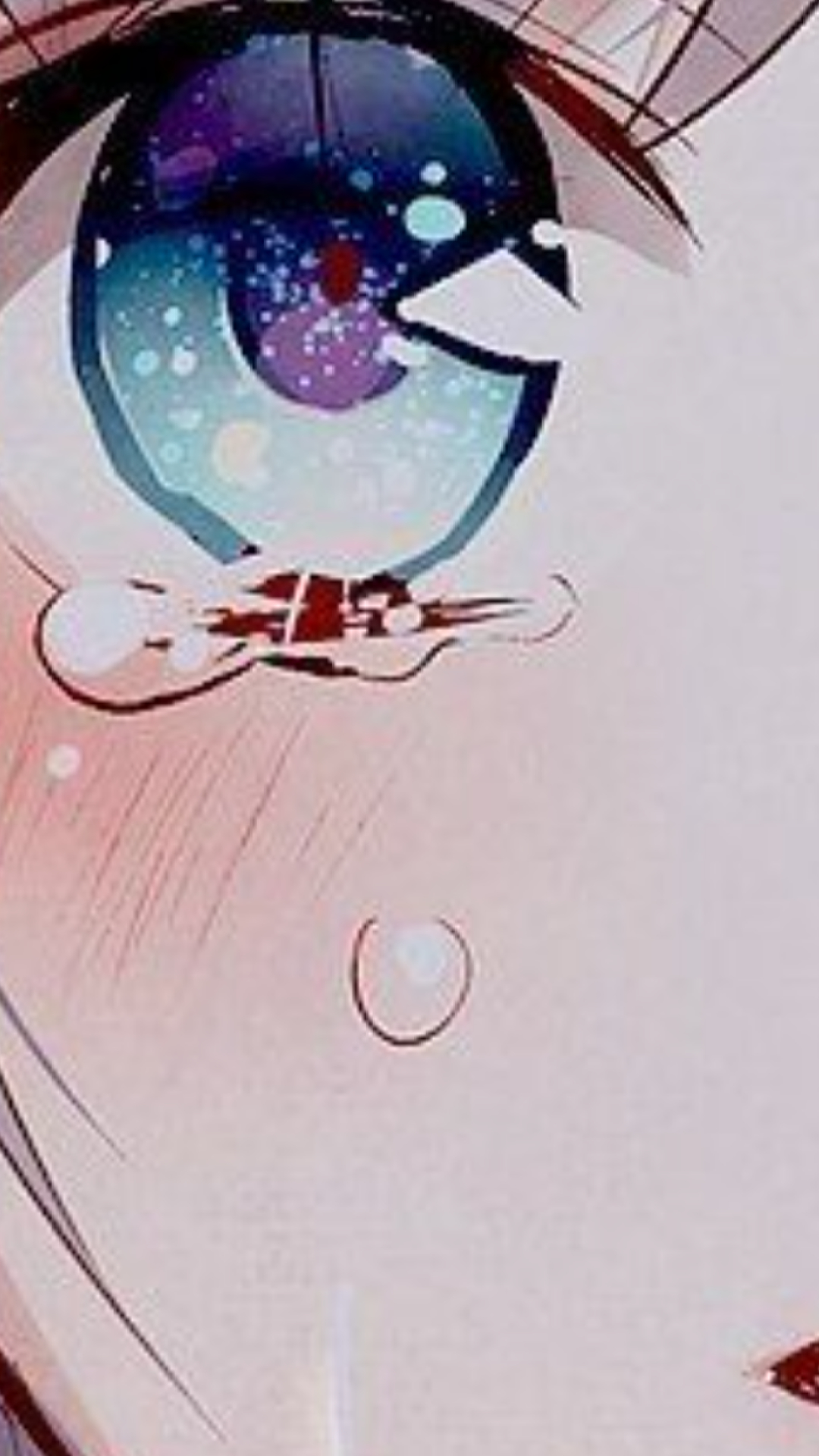 Image de la BD