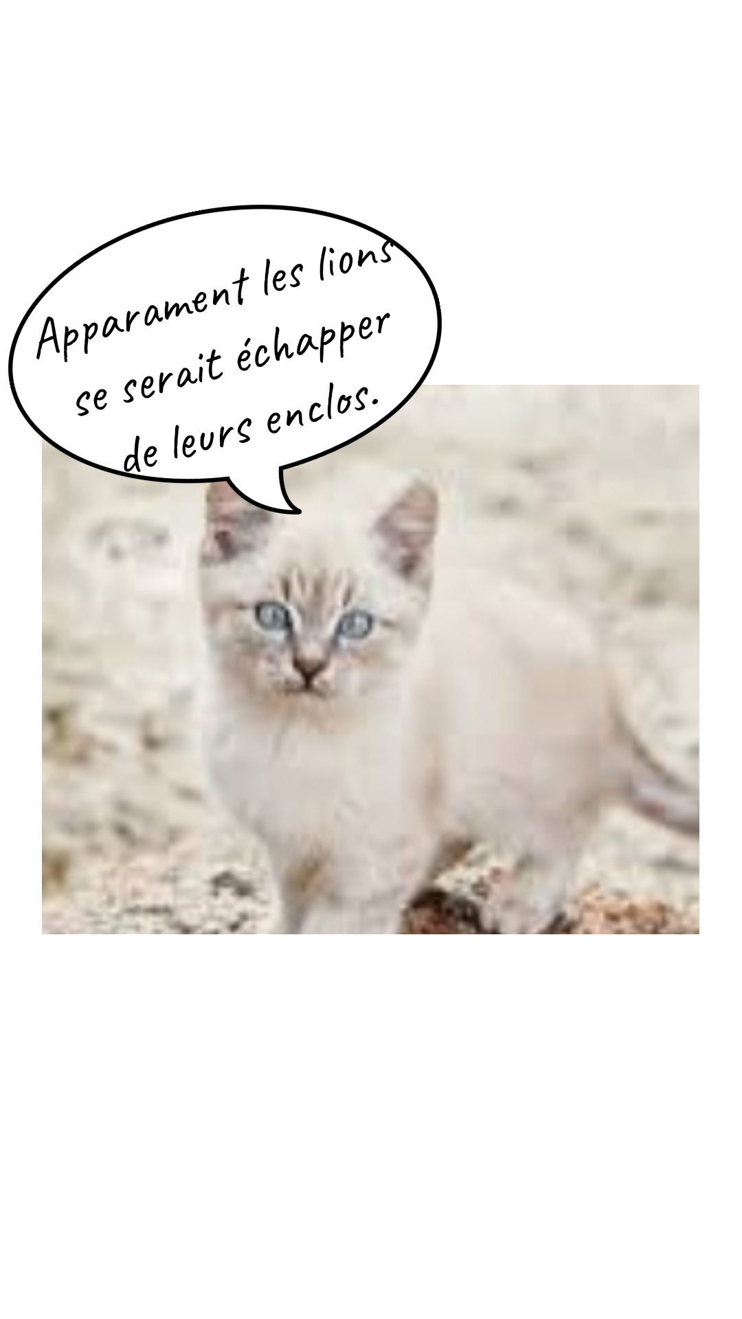 Image de la BD