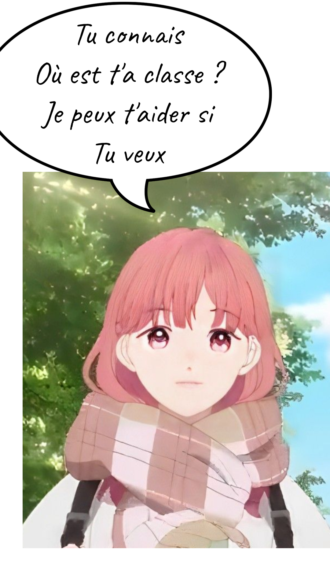 Image de la BD