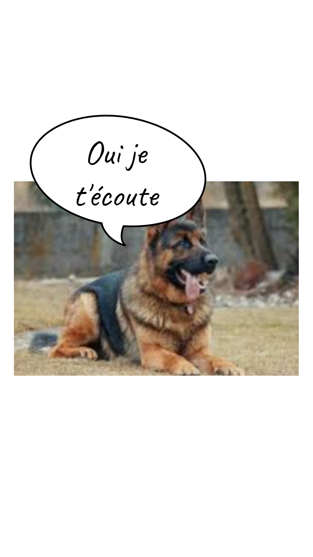 Image de la BD