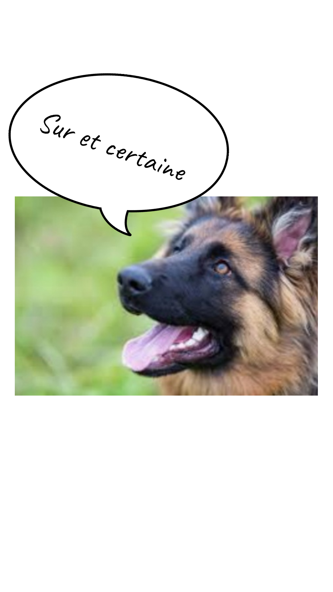 Image de la BD