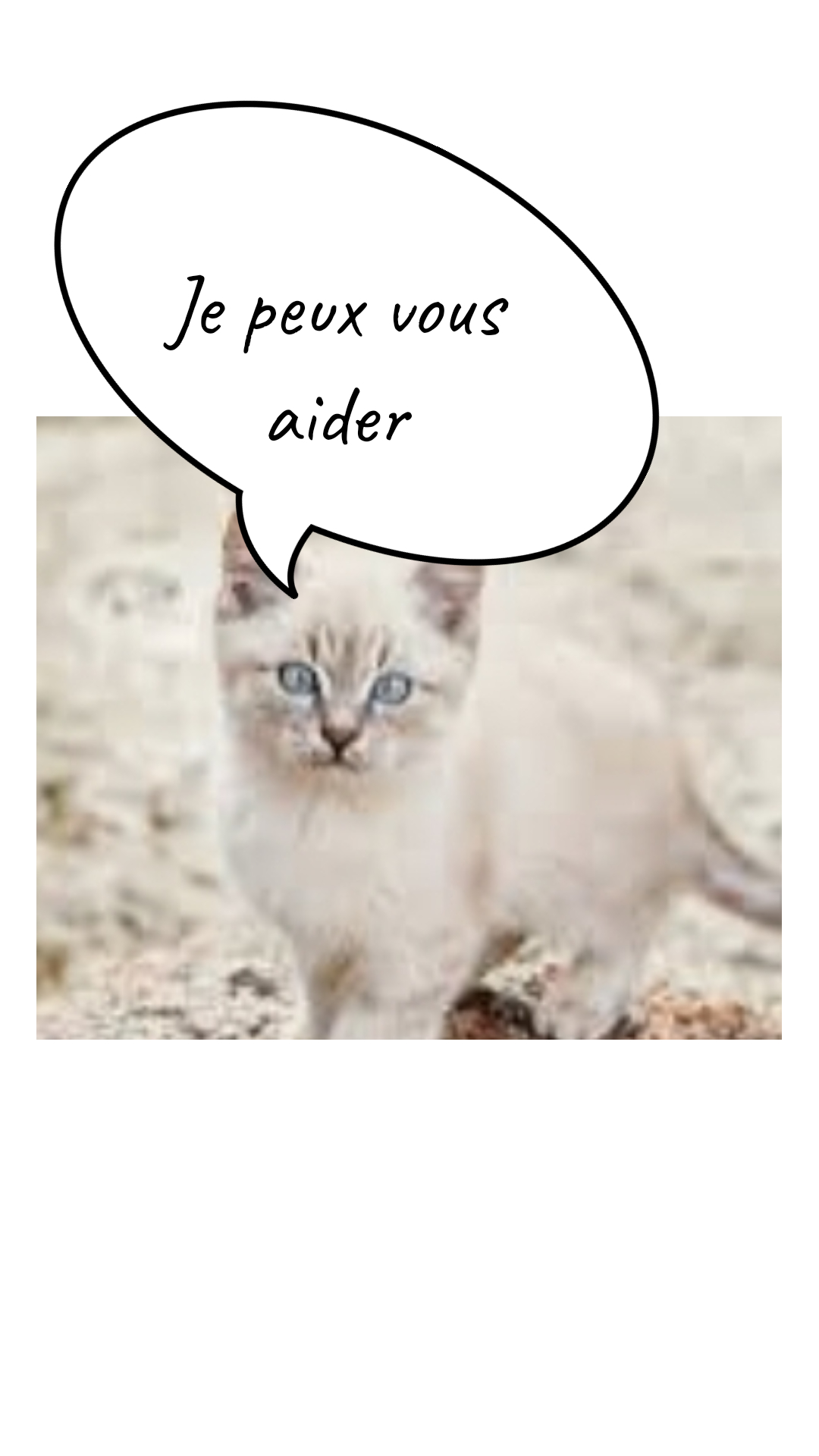 Image de la BD