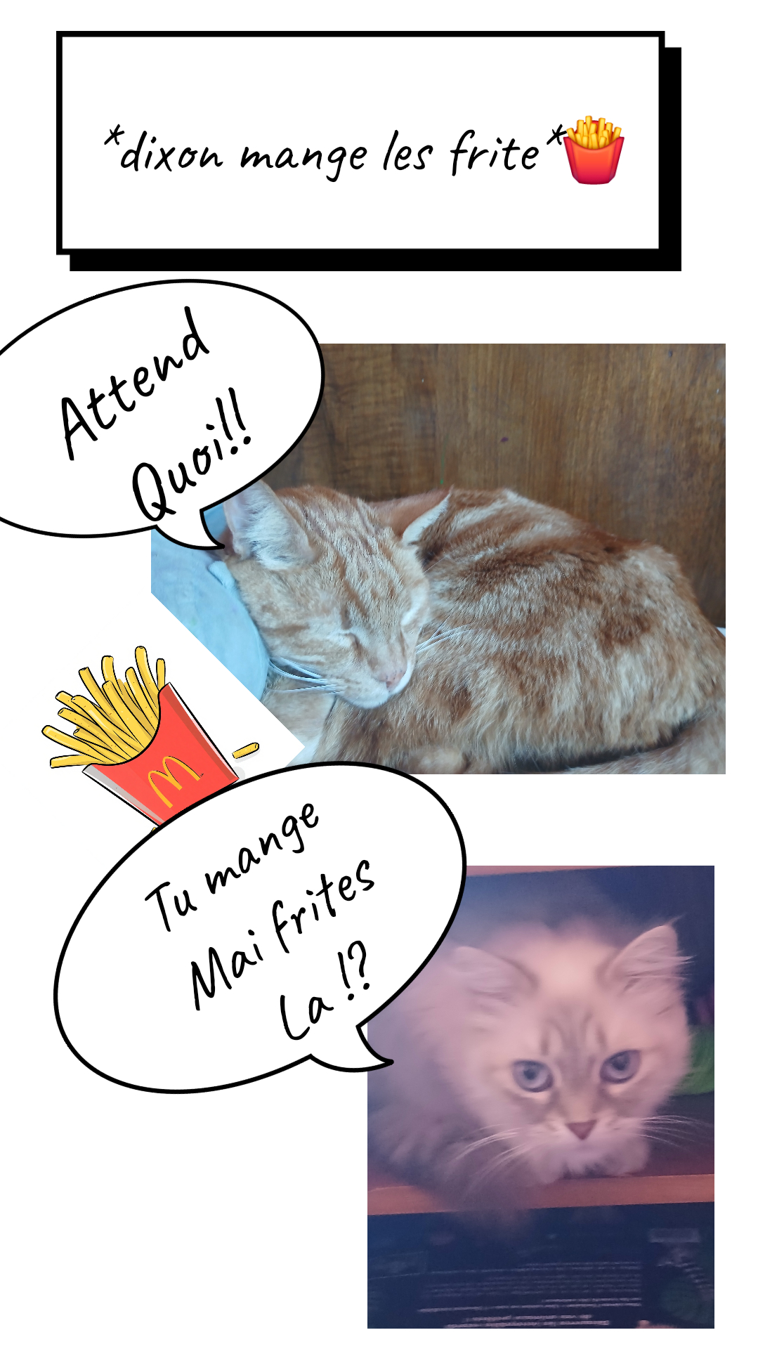 Image de la BD