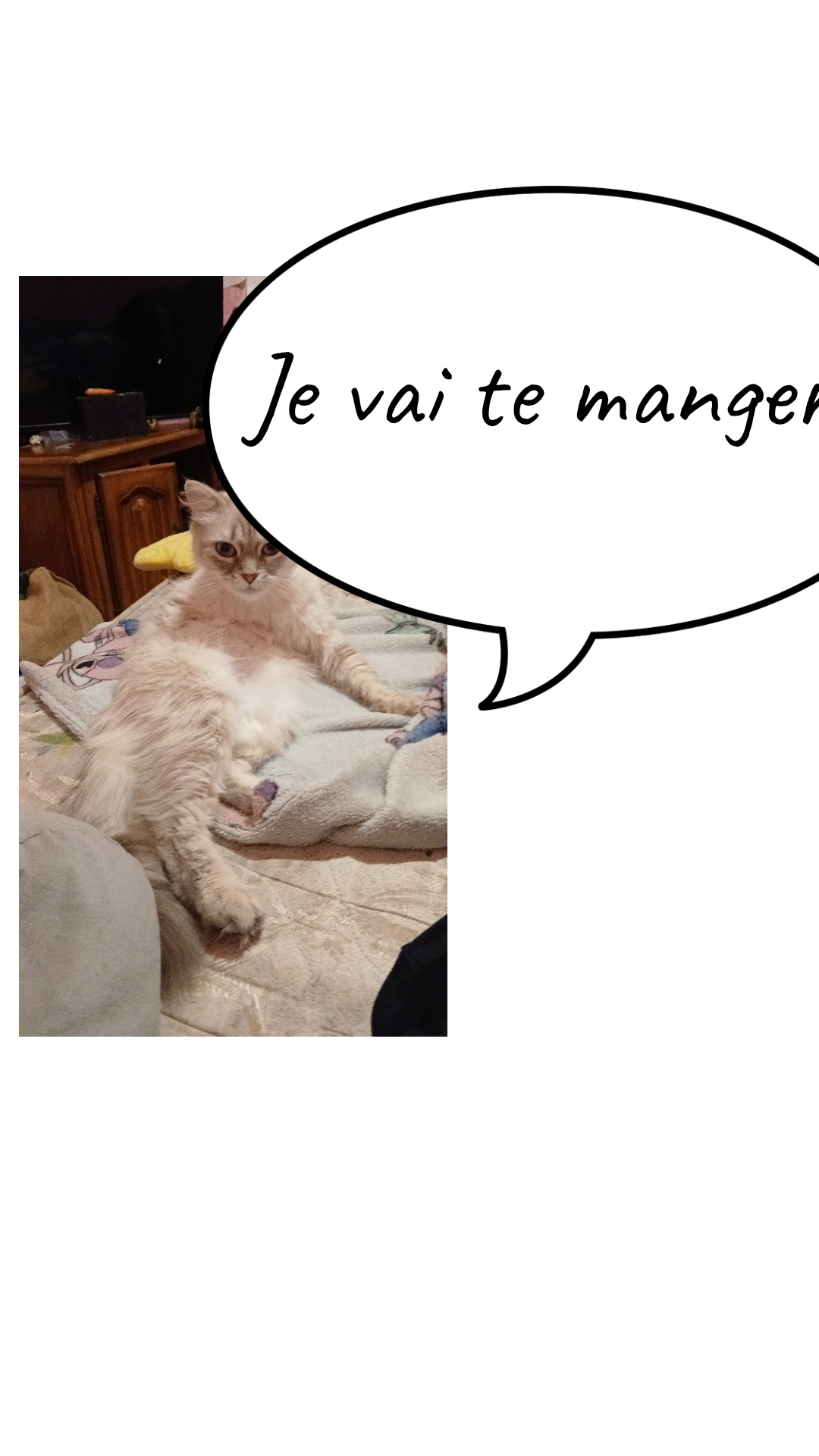 Image de la BD