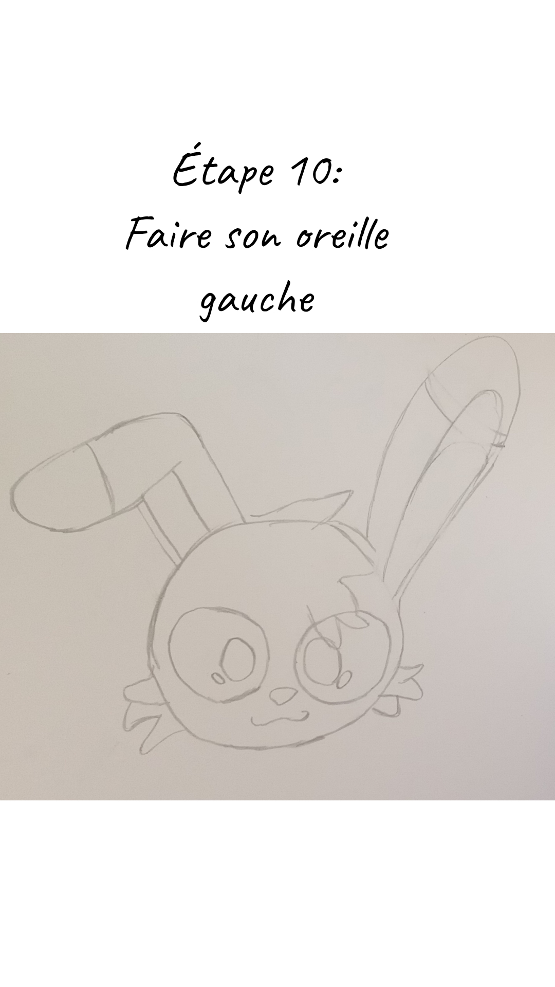 Image de la BD