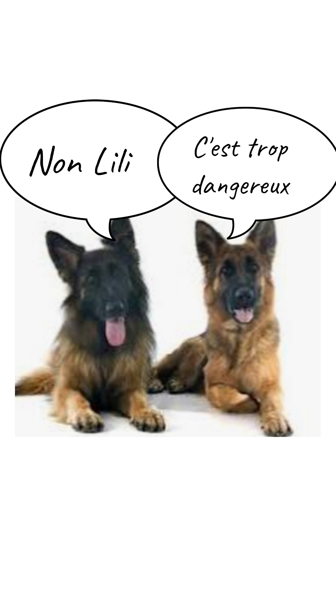 Image de la BD