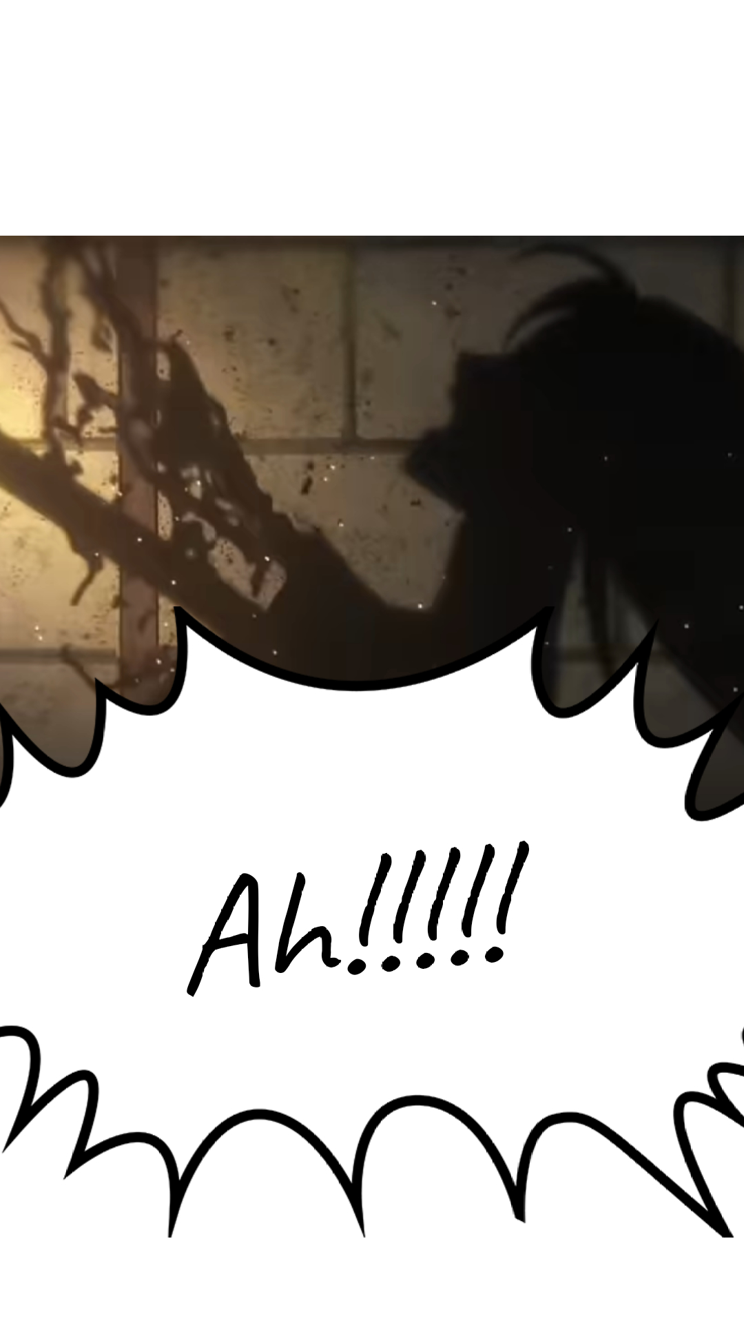 Image de la BD