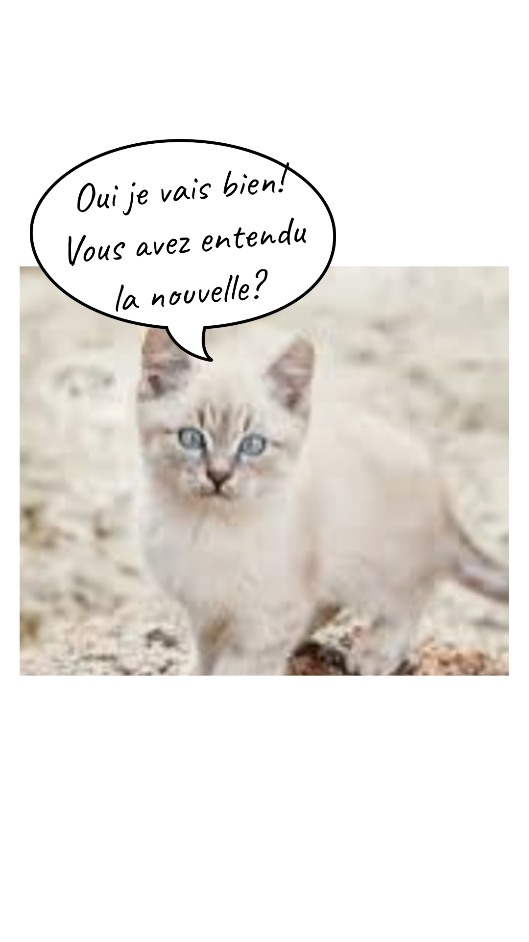 Image de la BD