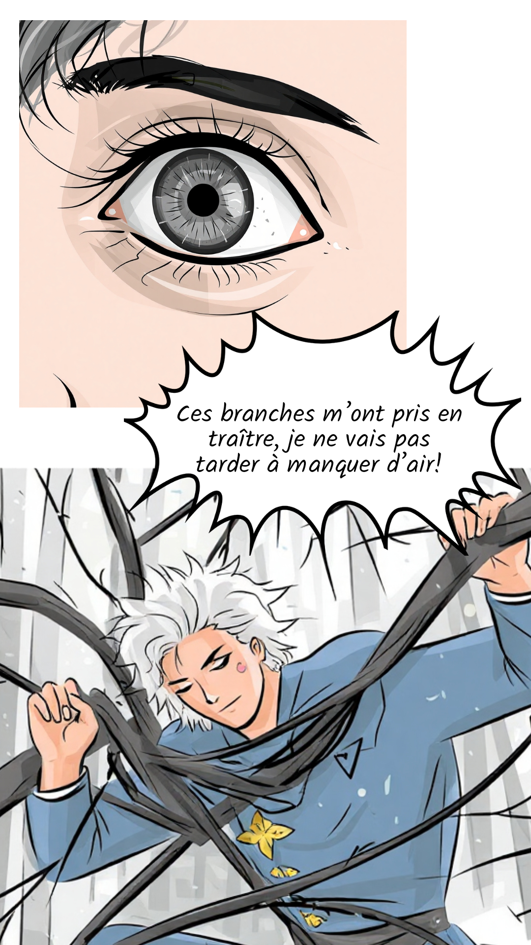 Image de la BD