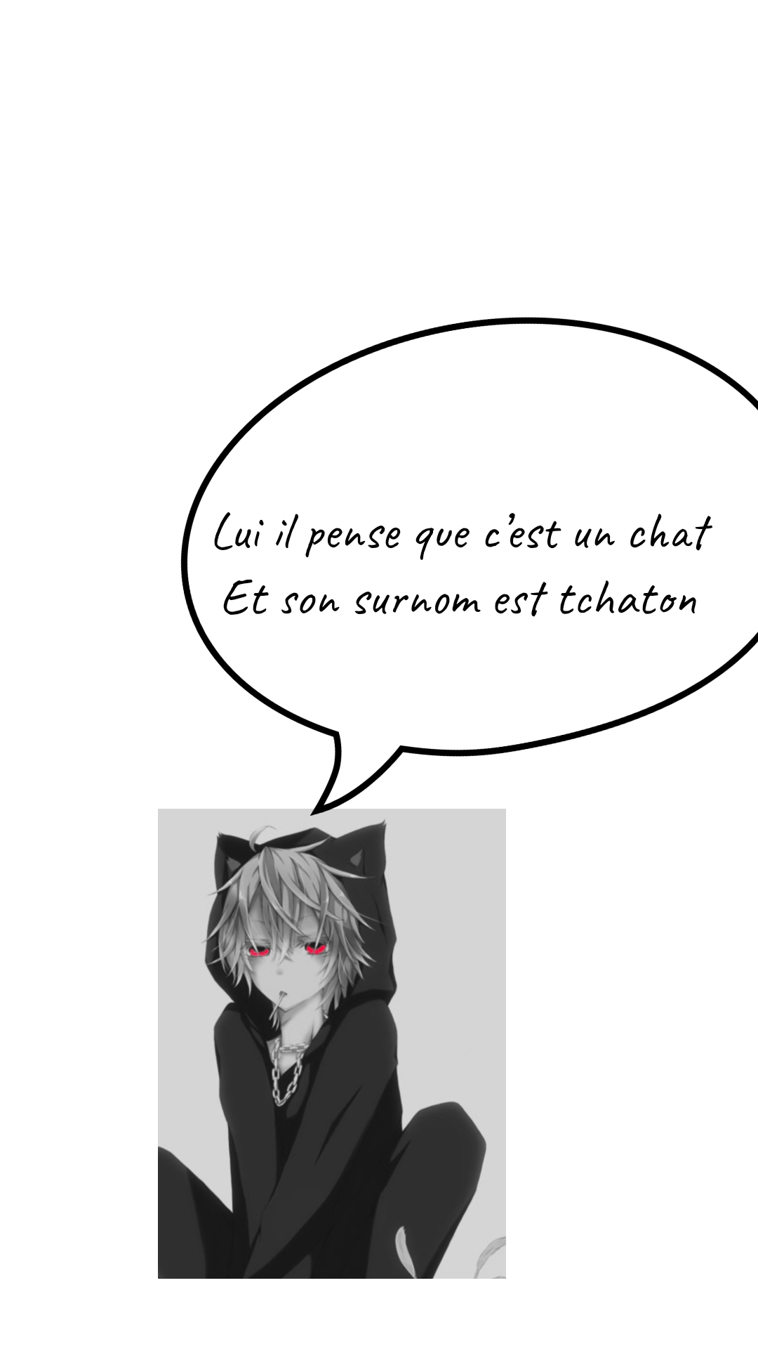 Image de la BD