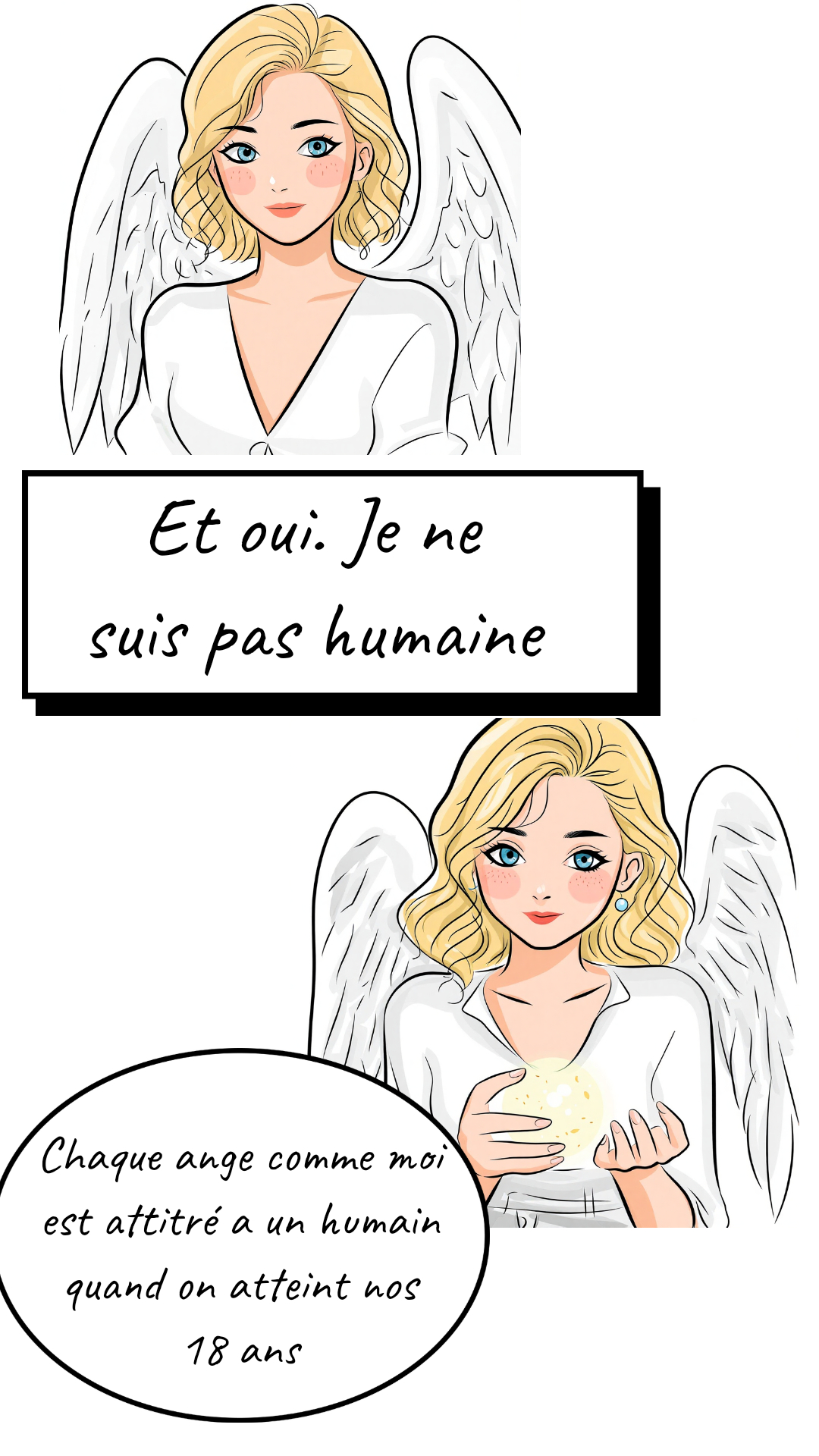 Image de la BD