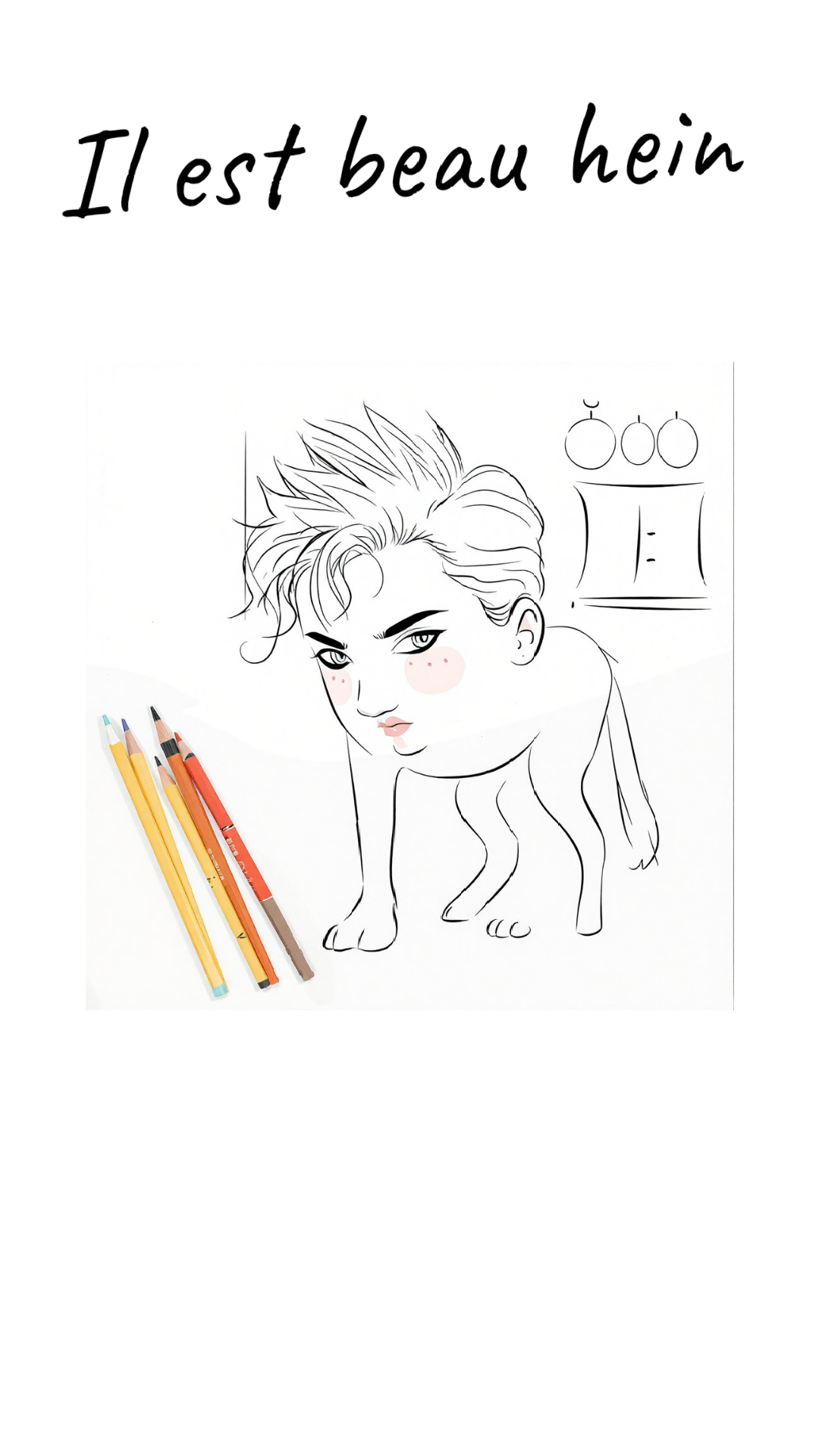 Image de la BD
