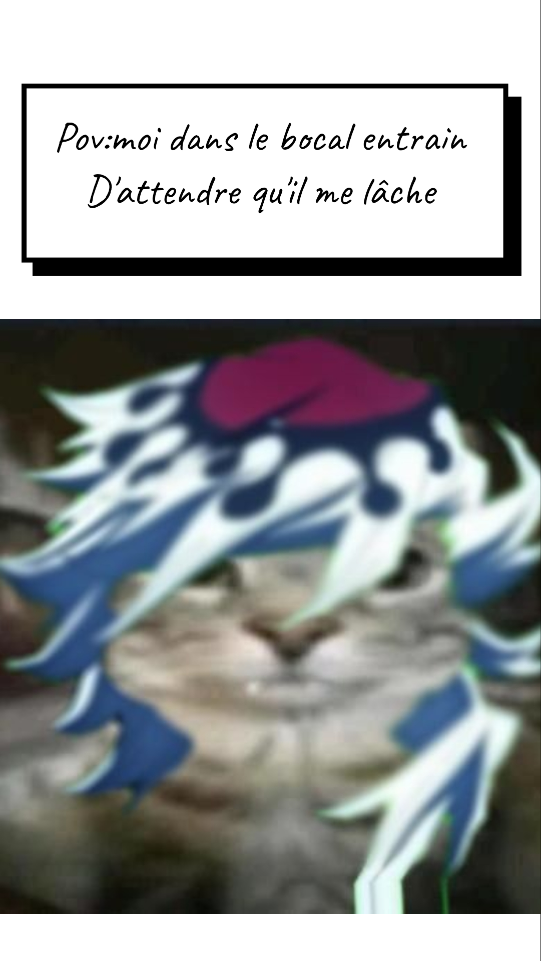 Image de la BD