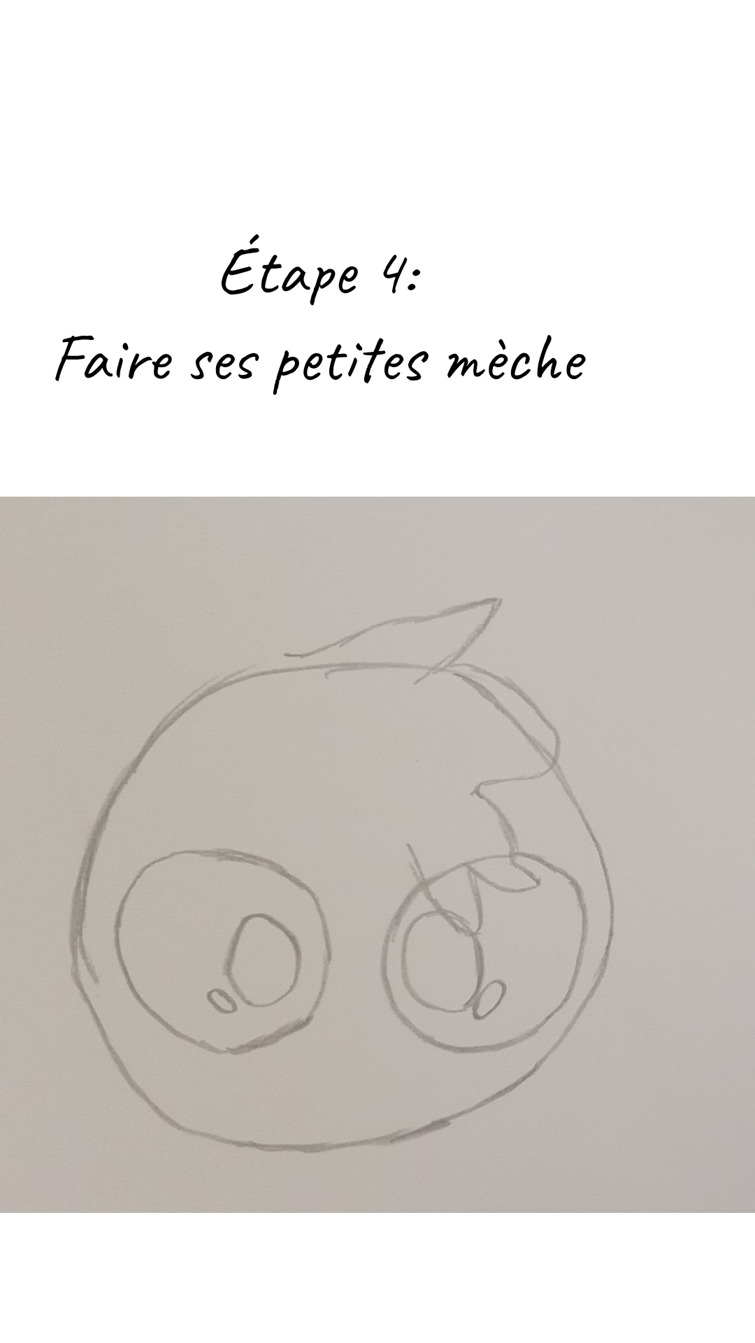 Image de la BD