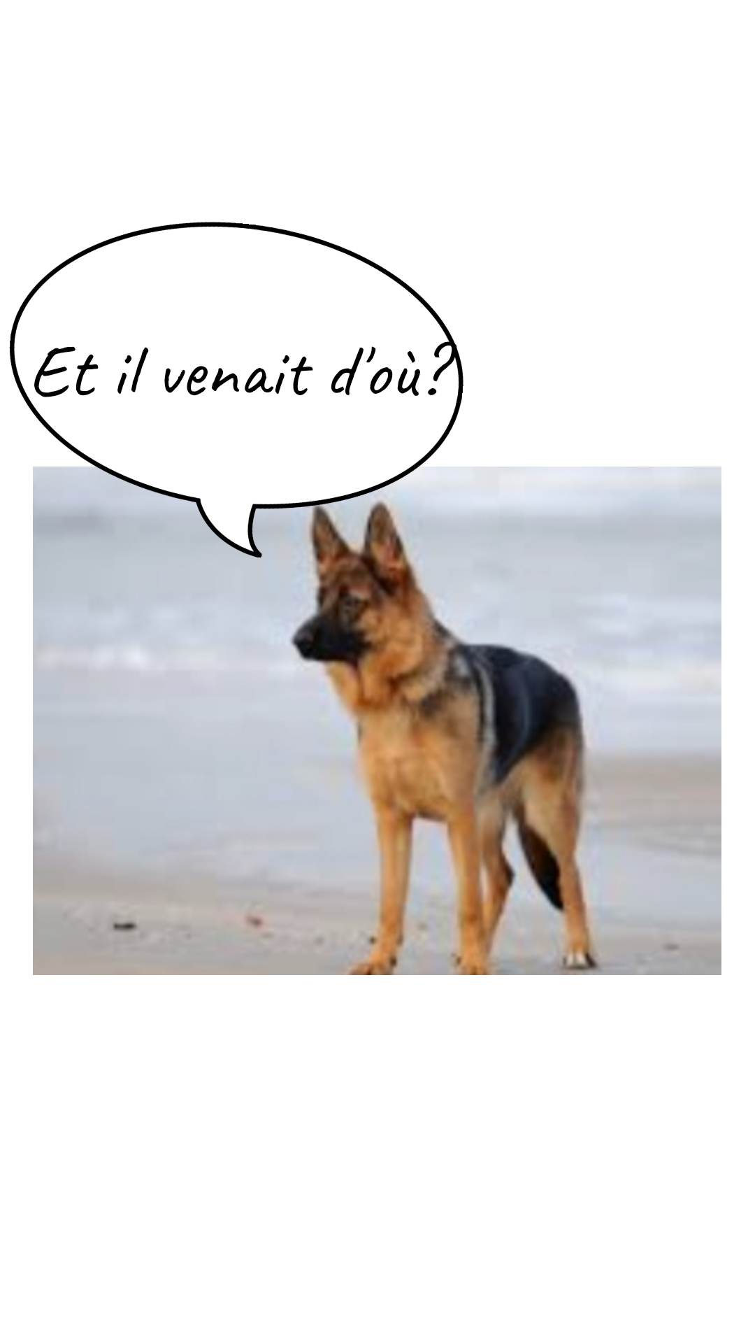 Image de la BD