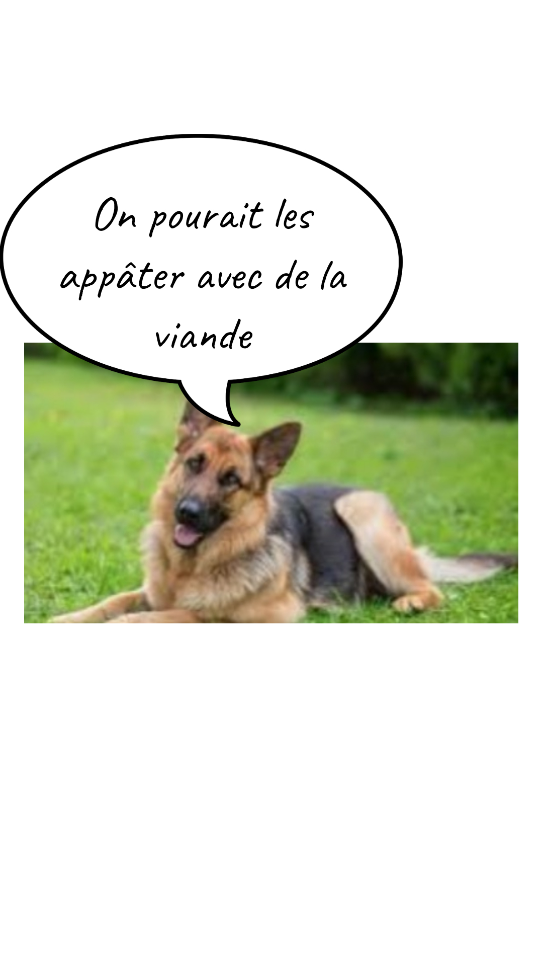 Image de la BD